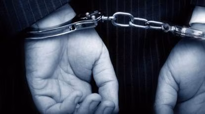 bengaluru crime news bengaluru electronic city police arrested,businessman who kidnapped