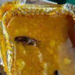 Cockroach found in Vande Bharat meal once again, IRCTC responds