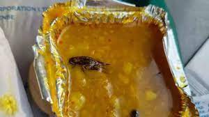 Cockroach found in Vande Bharat meal once again, IRCTC responds
