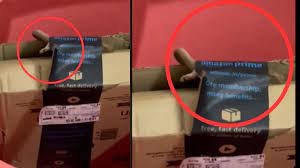 Woman Finds Cobra In Amazon Package, Video Goes Viral